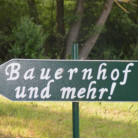 Kleine Einzigartige Ferienwohnung Auf Dem Bauernhof, Direkt In Der Natur Mit Blick Auf Schloss Braunfels Zewnętrze zdjęcie
