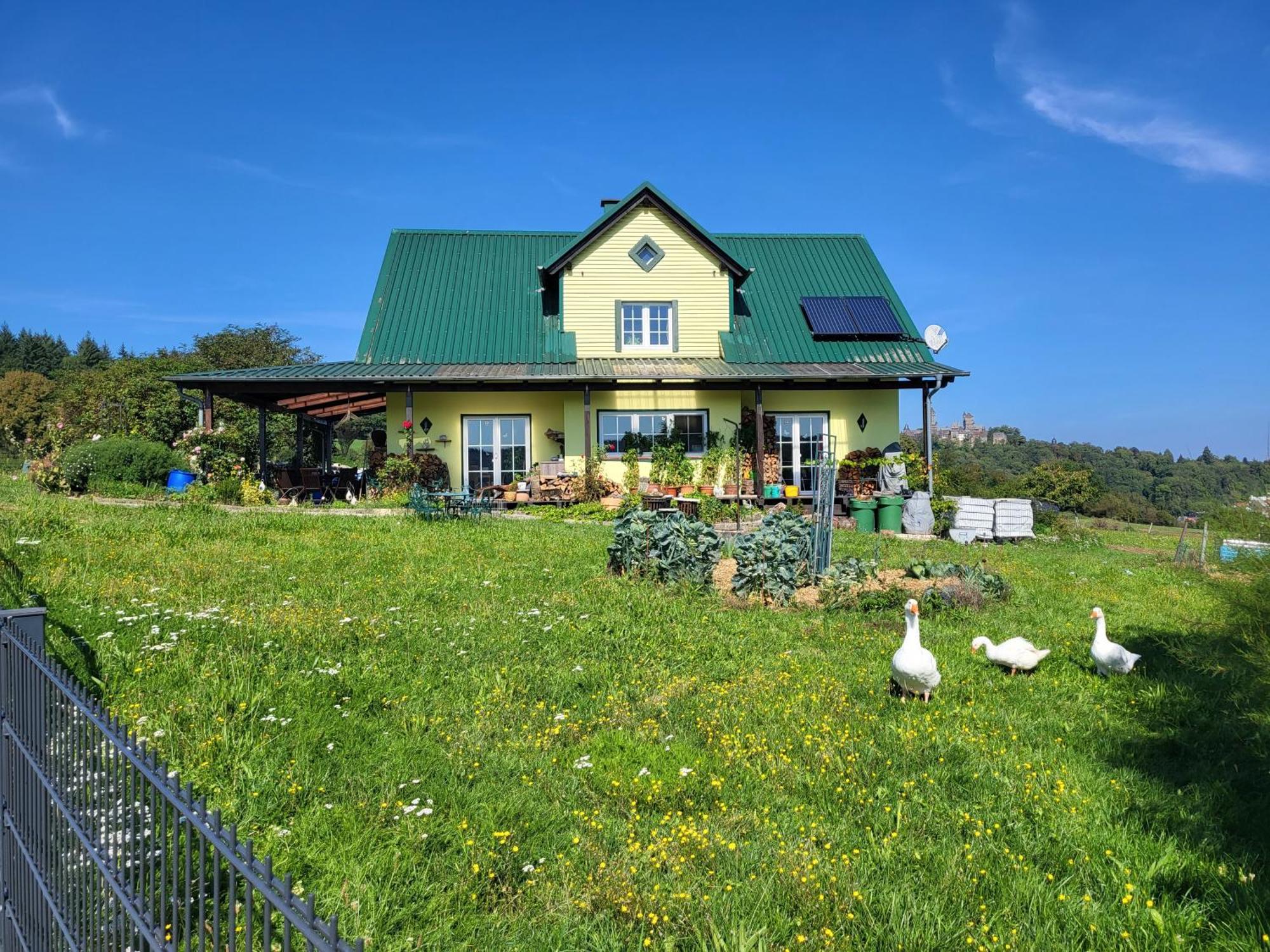 Kleine Einzigartige Ferienwohnung Auf Dem Bauernhof, Direkt In Der Natur Mit Blick Auf Schloss Braunfels Zewnętrze zdjęcie