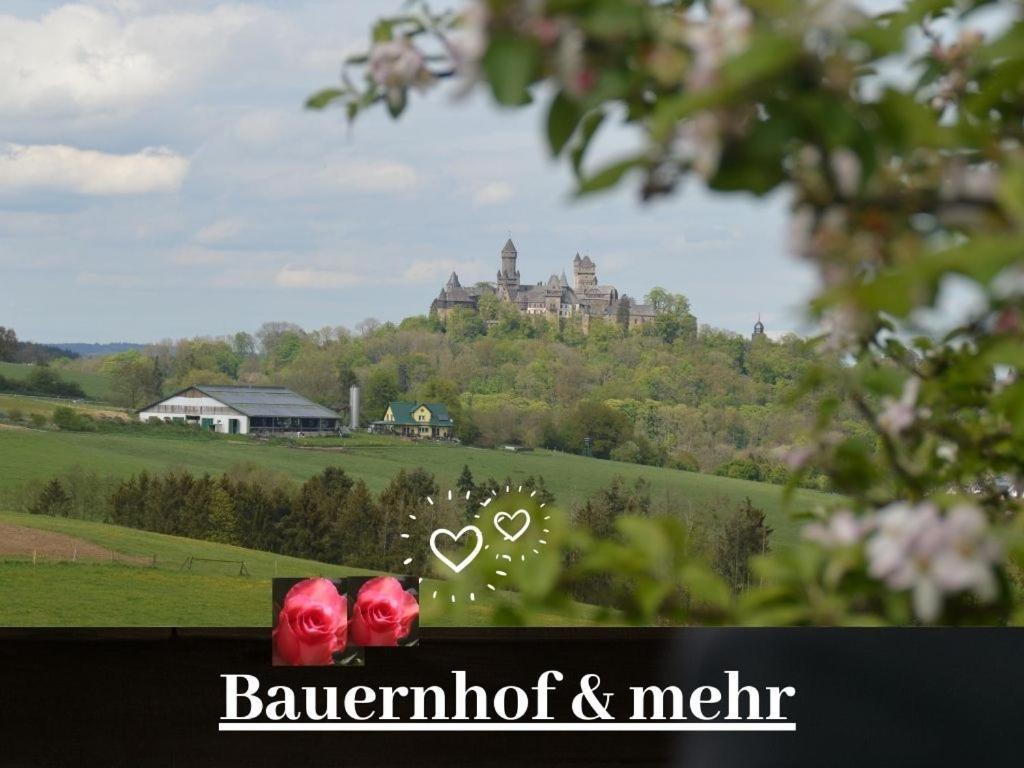 Kleine Einzigartige Ferienwohnung Auf Dem Bauernhof, Direkt In Der Natur Mit Blick Auf Schloss Braunfels Zewnętrze zdjęcie